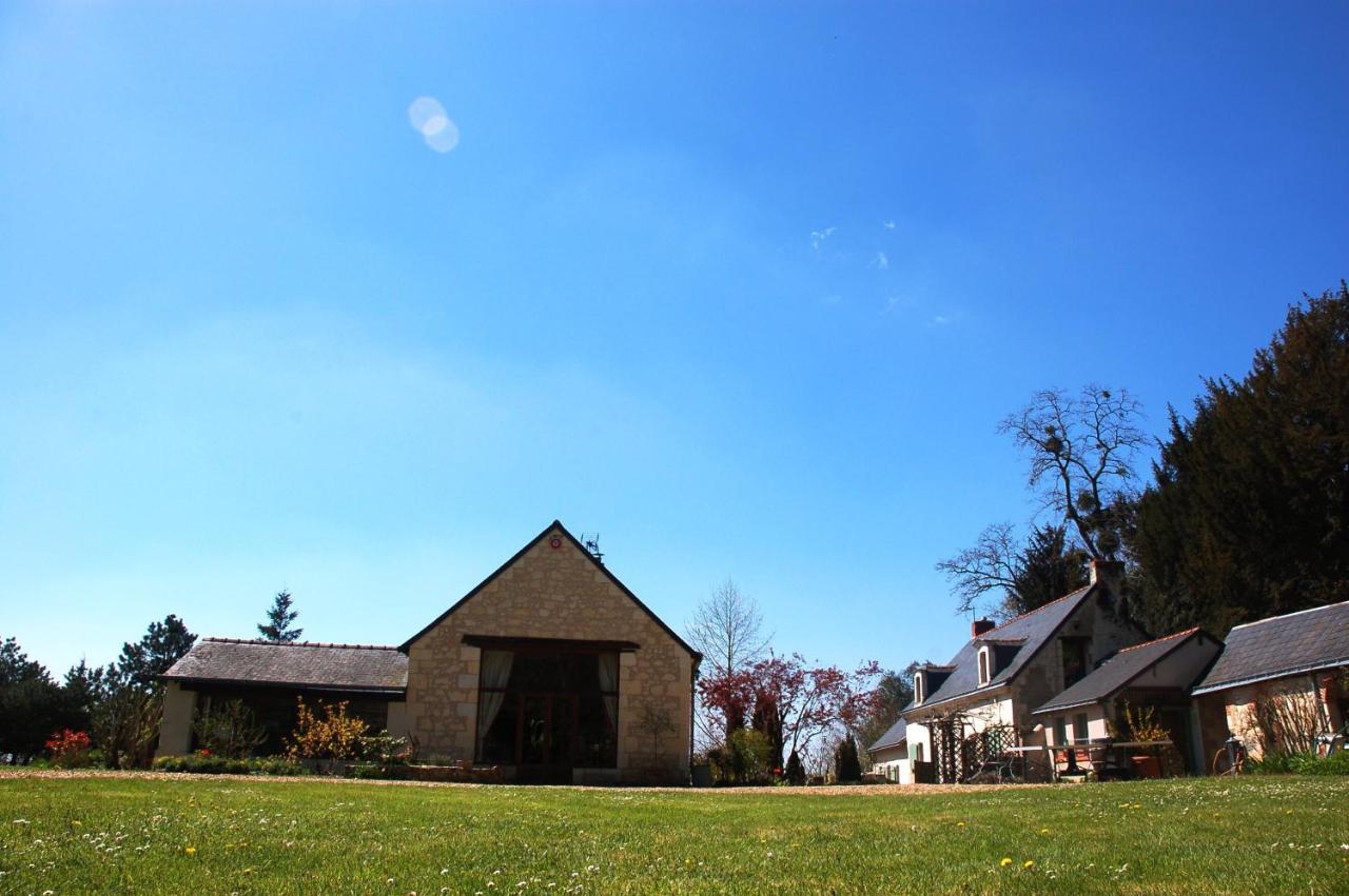 Le Logis Du Pressoir Self Catering Gites In Beautiful 18Th Century Estate In The Heart Of The Loire Valley With Heated Pool And Extensive Grounds. Les Bois-d'Anjou Luaran gambar